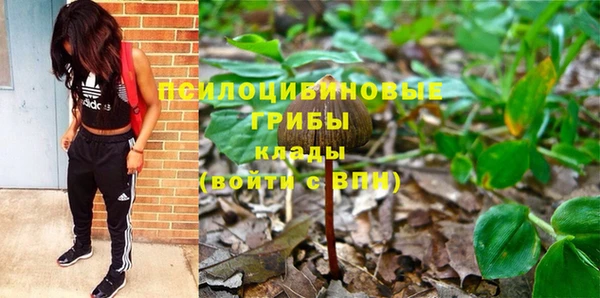 твердый Володарск