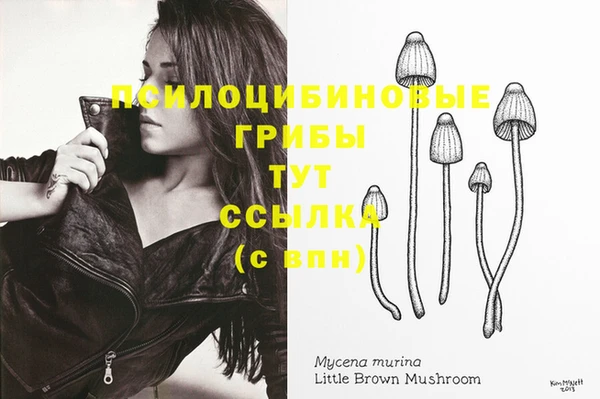 мет Верея