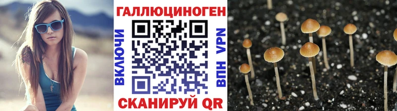 наркота  Разумное  Галлюциногенные грибы Magic Shrooms 